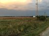 7195 3 photo